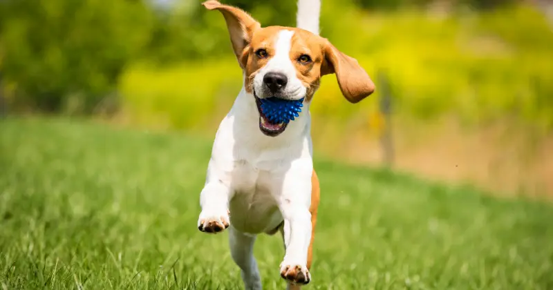 金額は抑えたい。でも妥協はしたくない。そんな方は是非ご相談ください。。